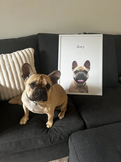 Personalised Pet Portraits