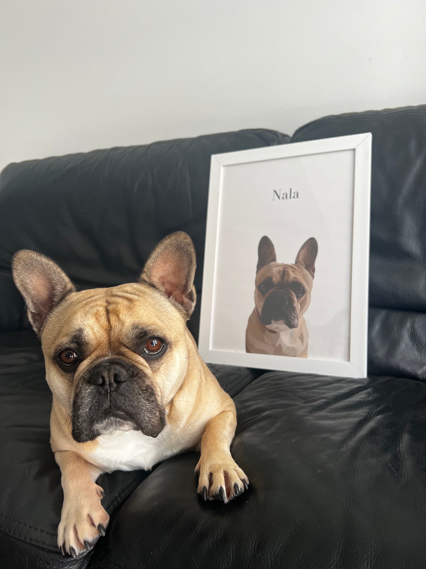 Personalised Pet Portraits