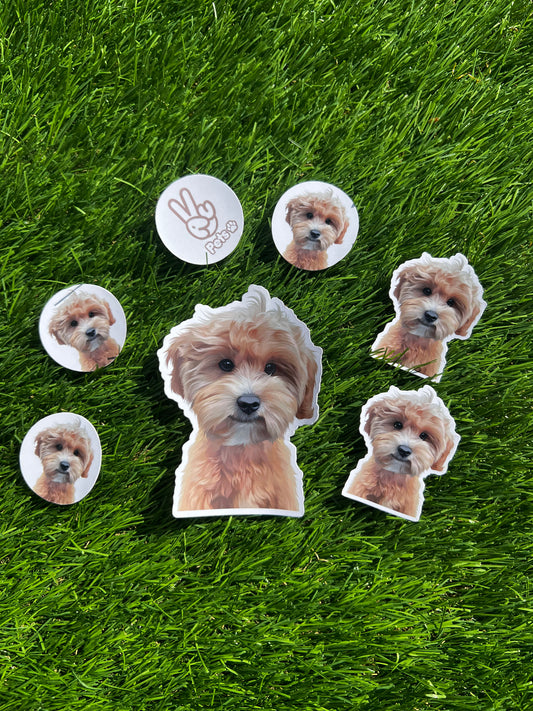 Personalised Pet Stickers