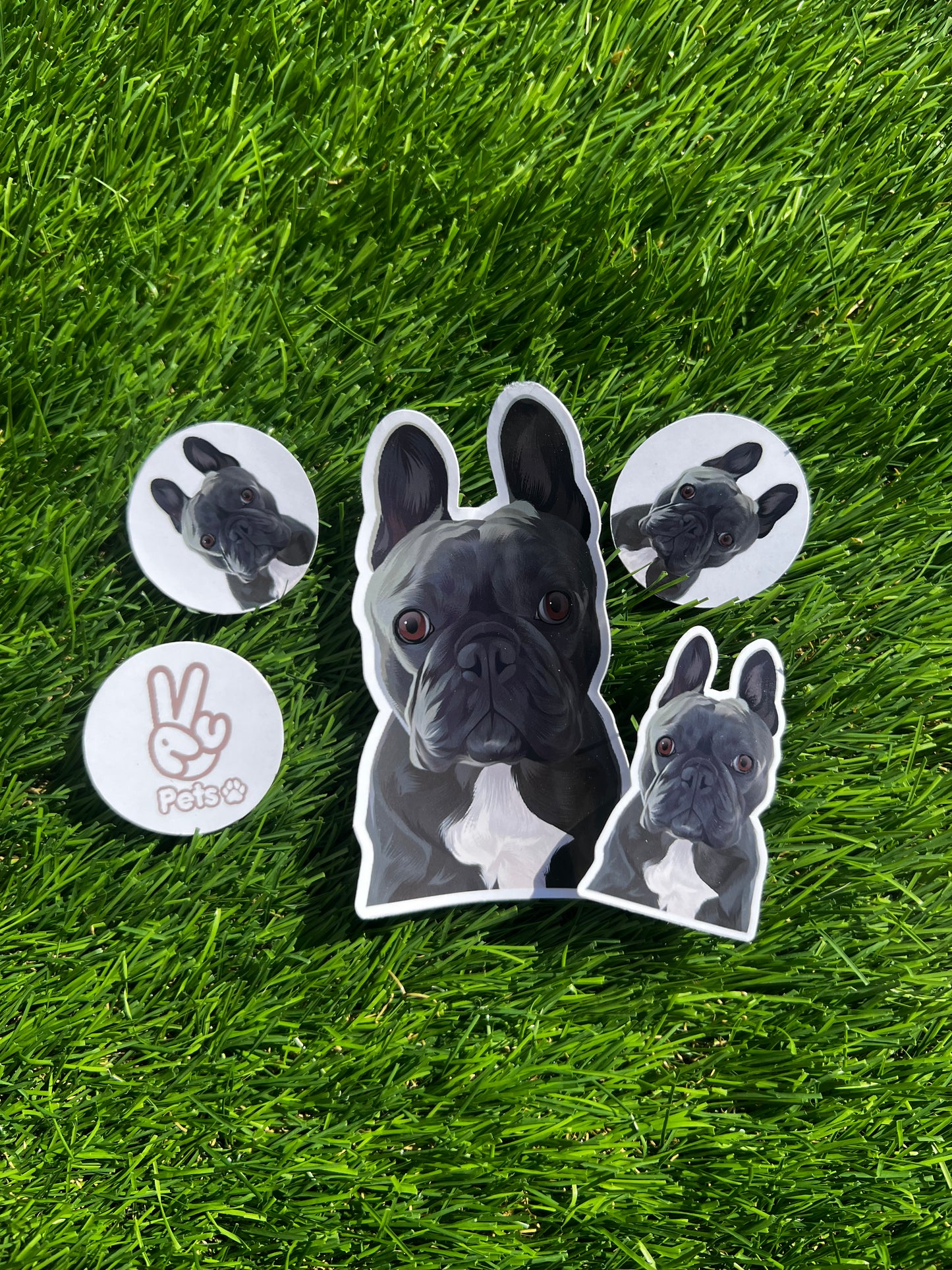 Personalised Pet Stickers