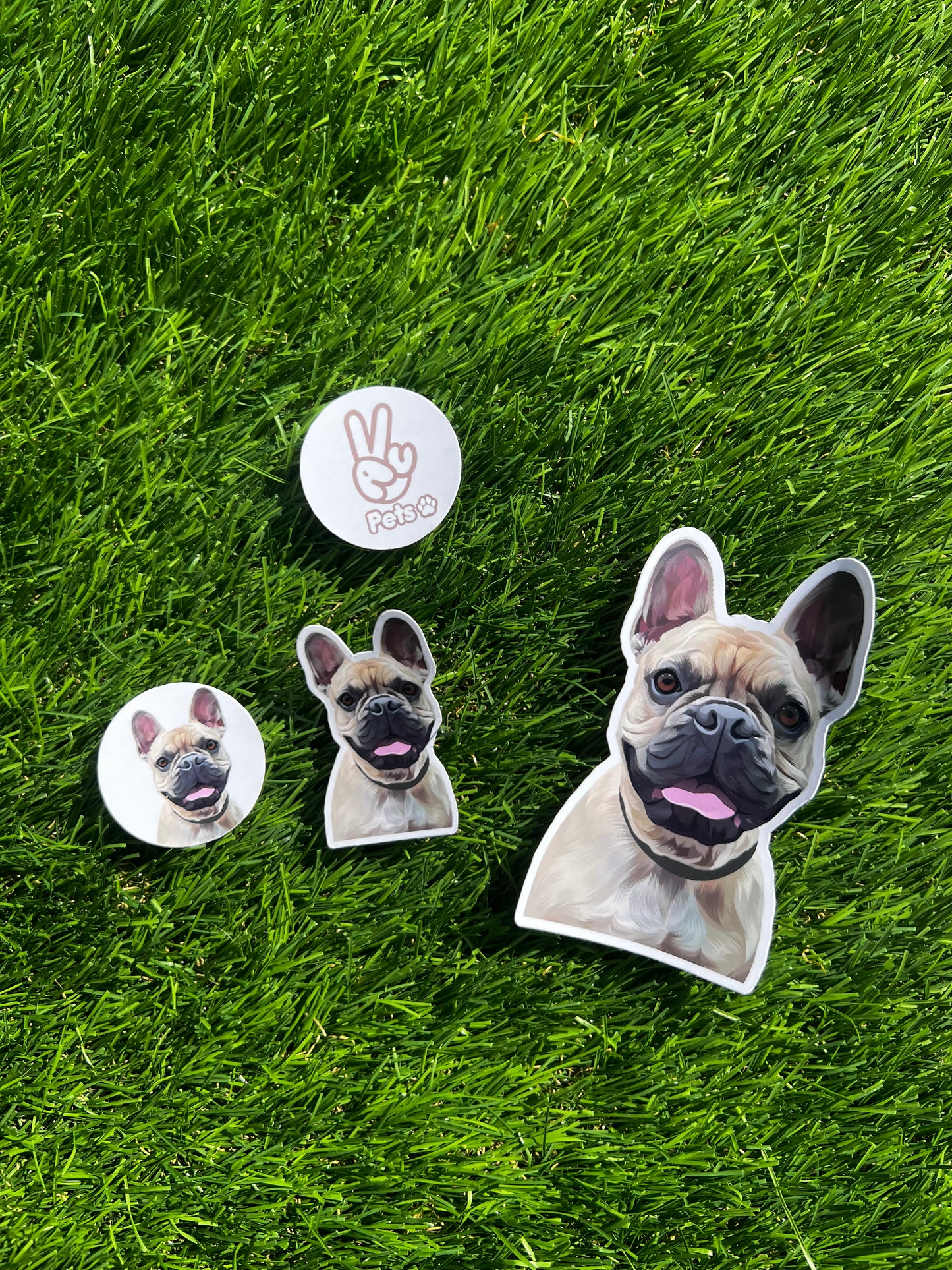 Personalised Pet Stickers