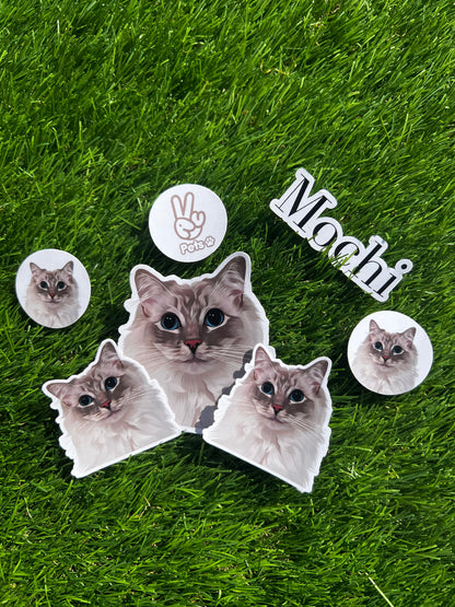 Personalised Pet Stickers