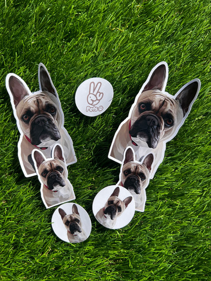 Personalised Pet Stickers