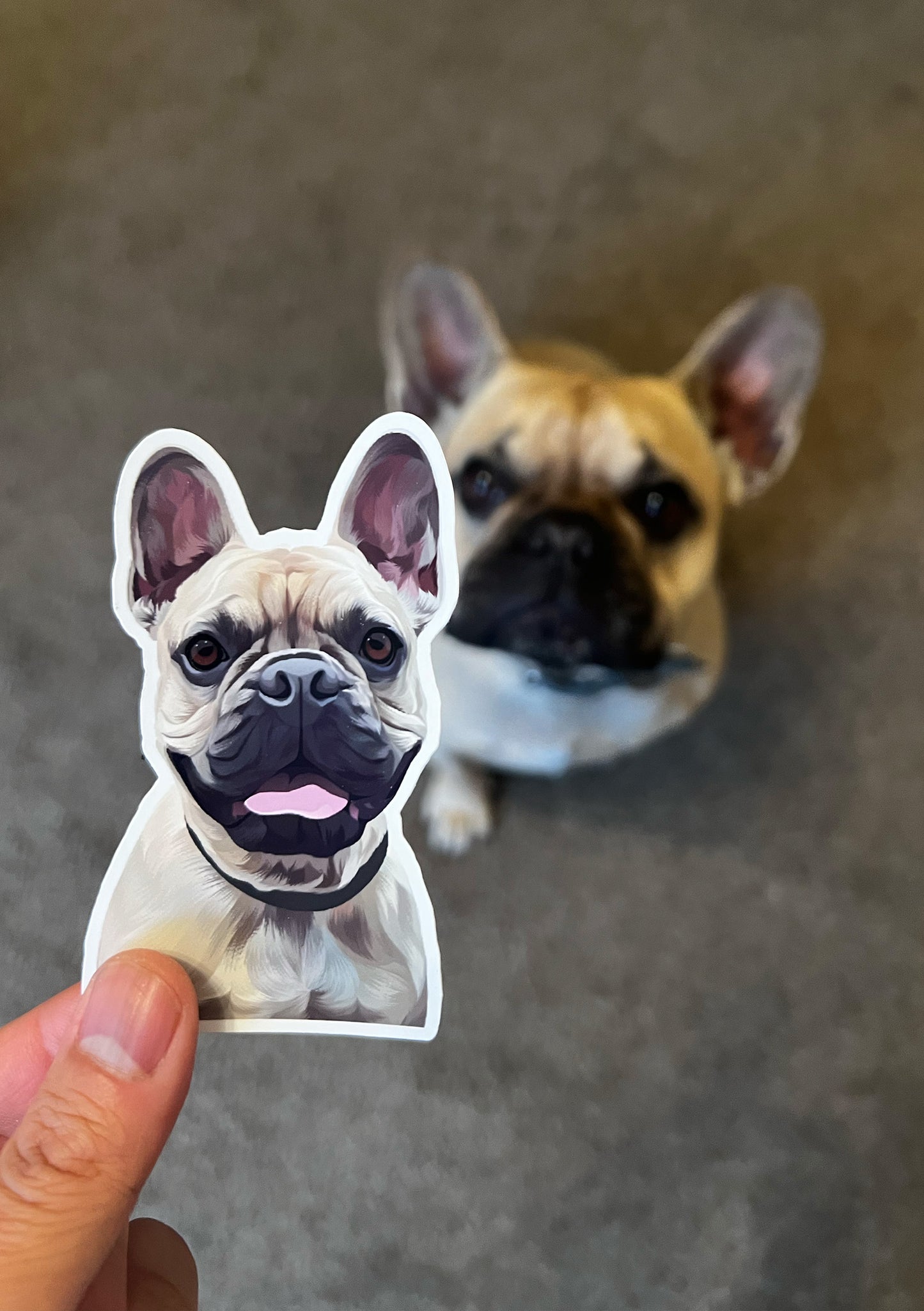 Personalised Pet Stickers